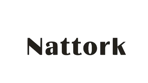 nattork logo